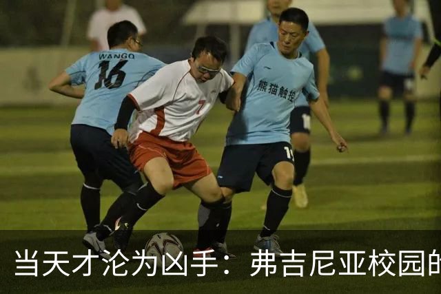当天才沦为凶手：弗吉尼亚校园的惨剧与心灵的崩溃